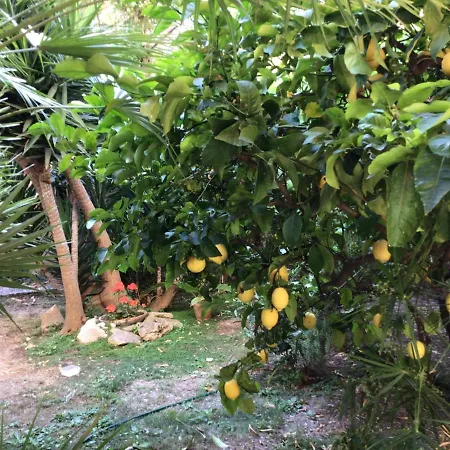 Casa Antonia Con Giardino E Patio Apartment